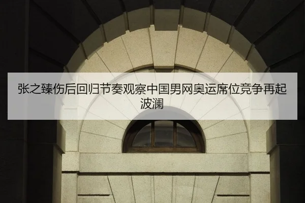 张之臻伤后回归节奏观察中国男网奥运席位竞争再起波澜